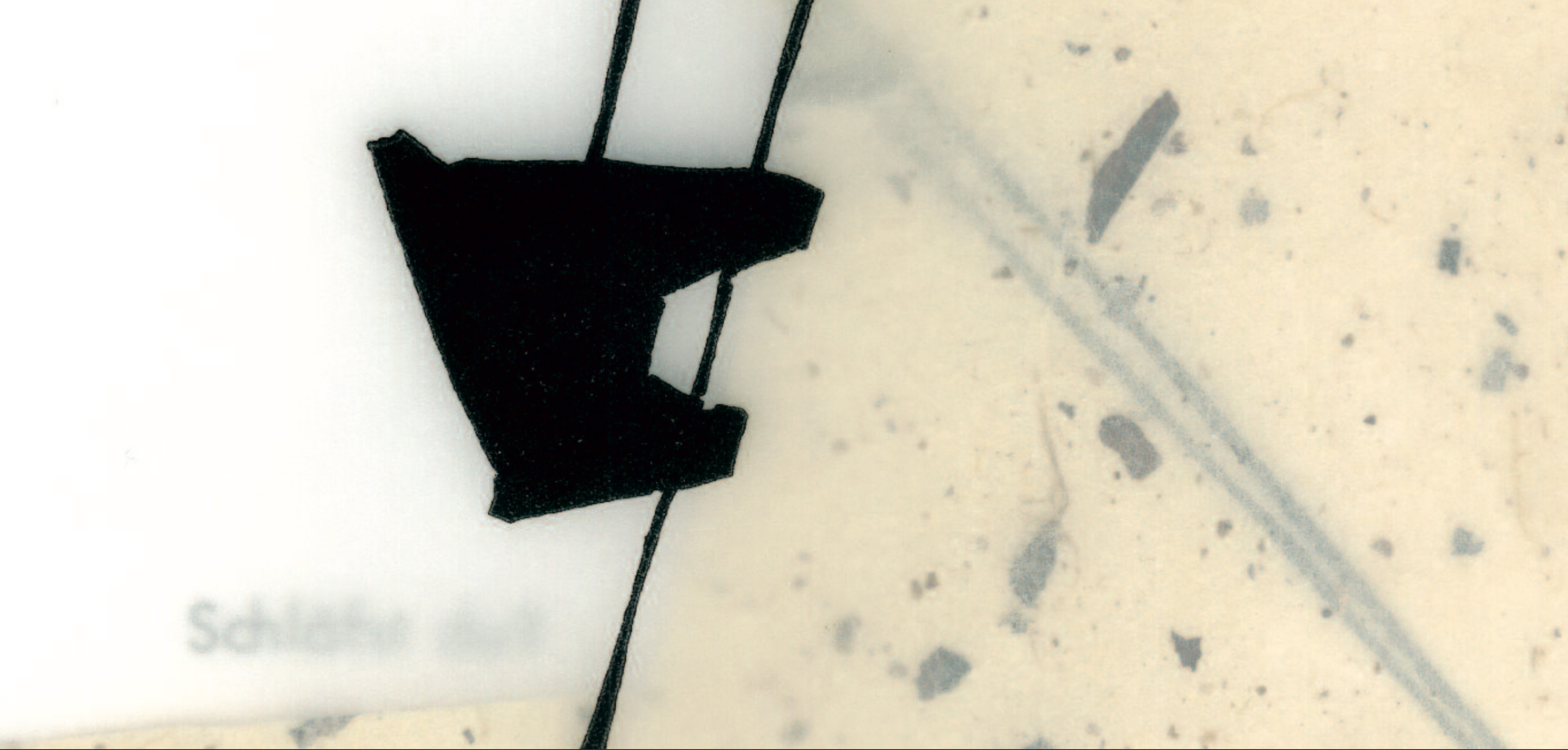 Anja Harms, Grafik-Design - Künstlerbücher - BuchSkulpturen