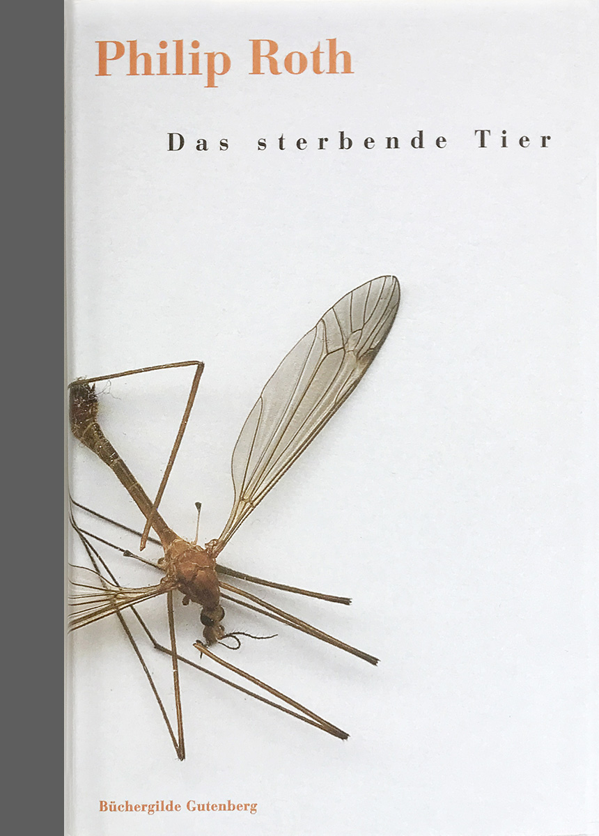 Philip Roth<br>»Das sterbende Tier«<br>Leinenband mit Schutzumschlag<br> 