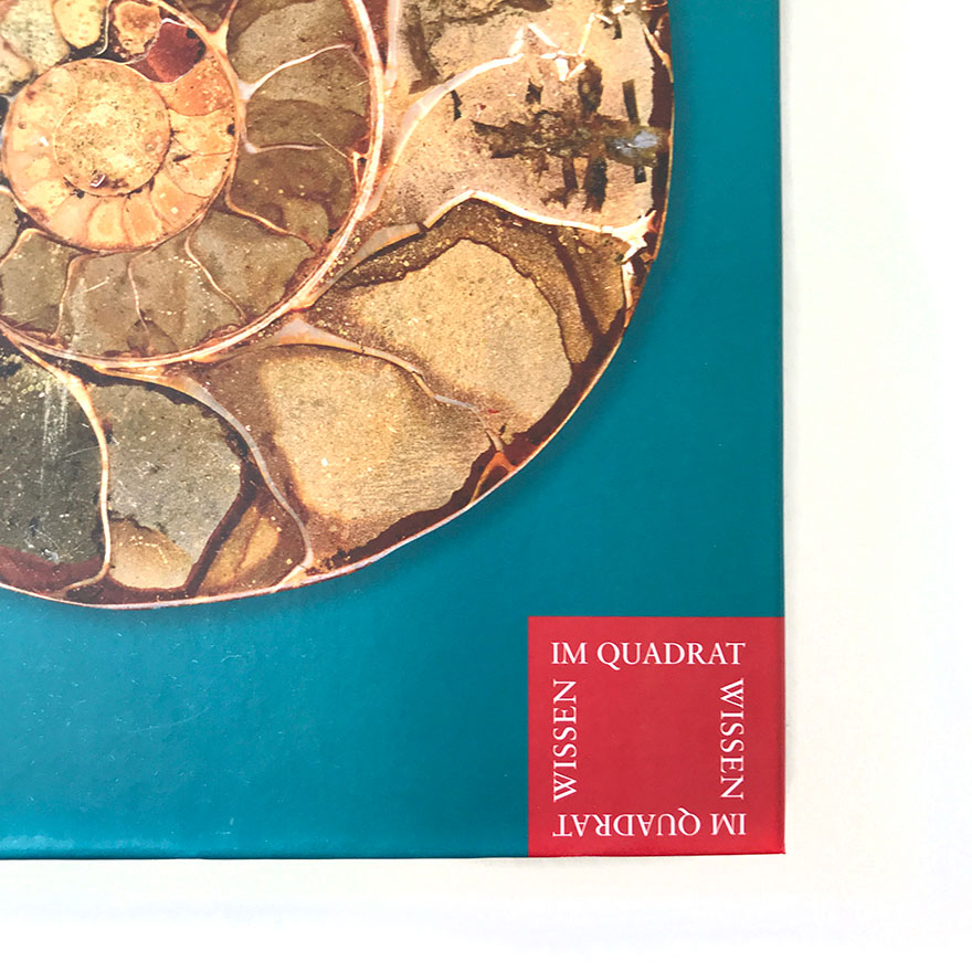 »Wissen im Quadrat«<br>Gestaltung einer Sachbuchreihe<br>Primus Verlag<br> 