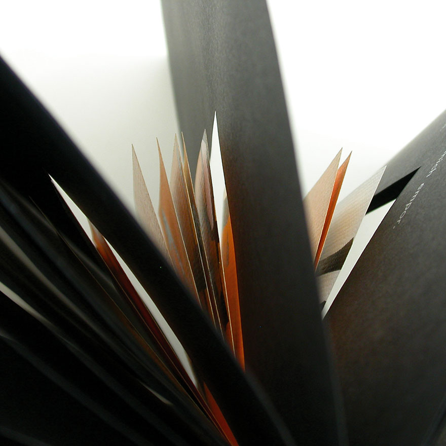 Hans Arp • Singendes Blau, 2006